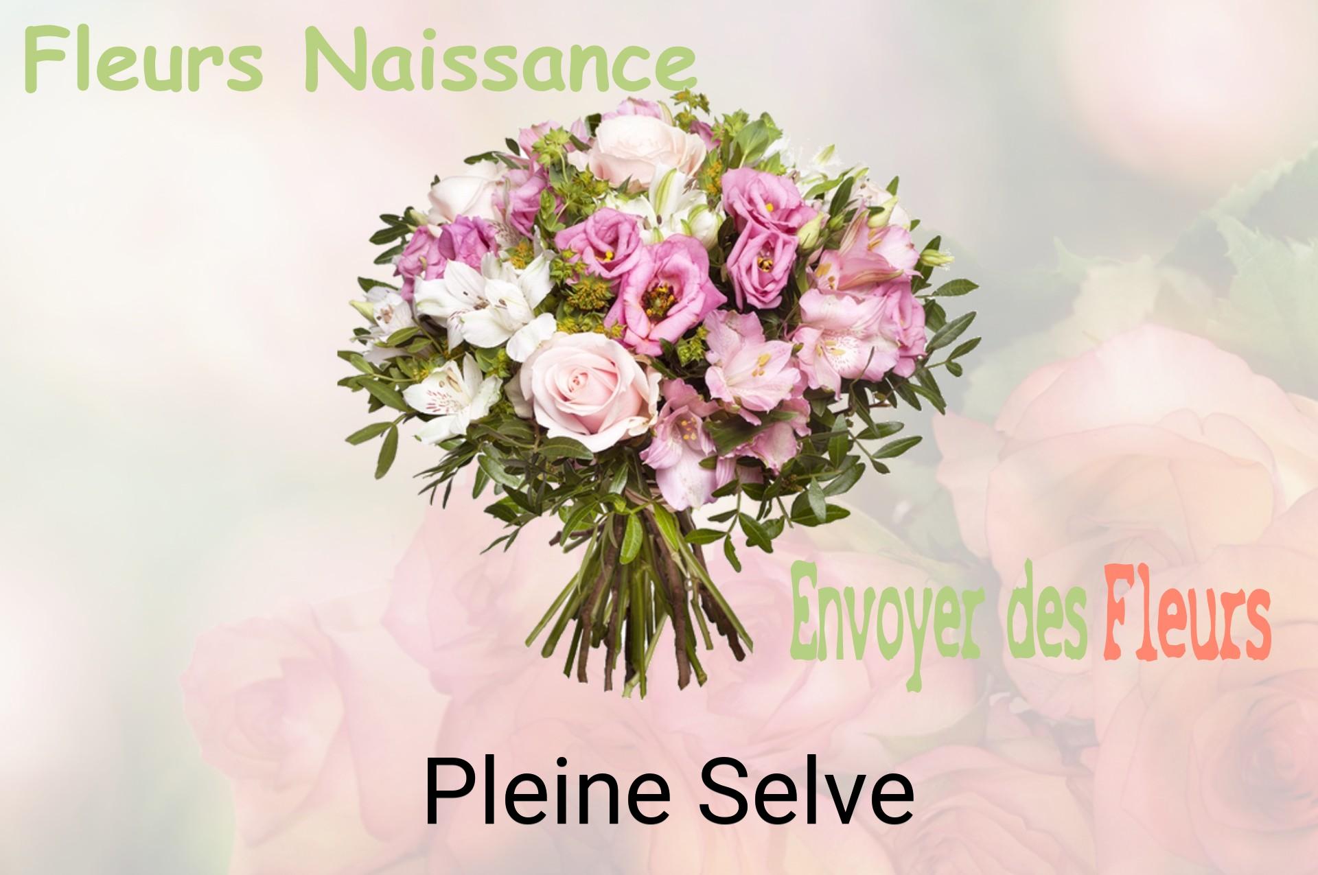 Bouquet de fleurs de naissance livré à Pleine-Selve
