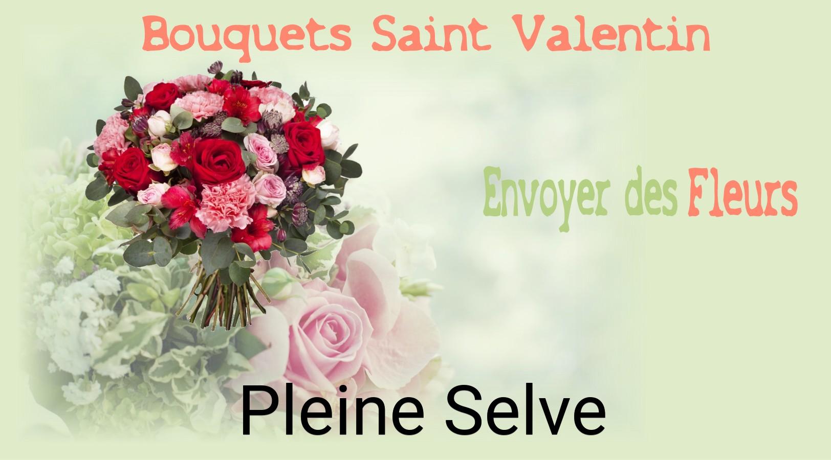 Roses de Saint-Valentin livrées à Pleine-Selve