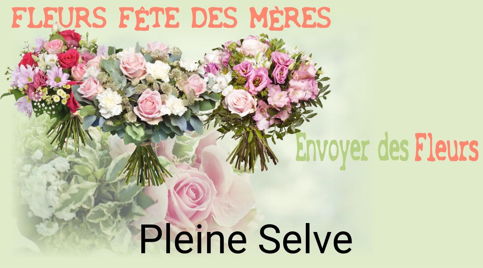 Bouquet de Fête des Mères livré à Pleine-Selve